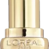 L’Oréal Paris Color Riche Color Riche Intense Volume Matte 480 Plump Dominant 14