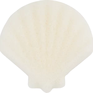 Essence Cute As Shell Konjac Face Sponge 01 All About Shell-Care! 6
