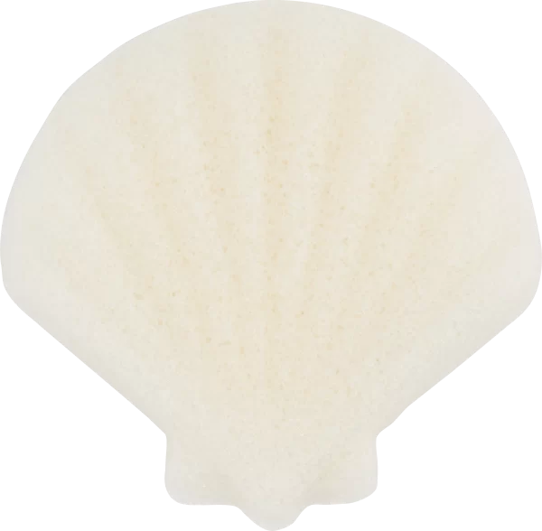 Essence Cute As Shell Konjac Face Sponge 01 All About Shell-Care! 3