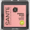 Sante Mineral Blush 01 Mellow Peach 5