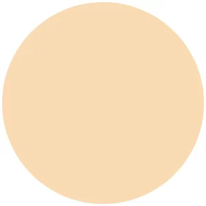 Catrice 18H HD Matte Powder Foundation 010W 9